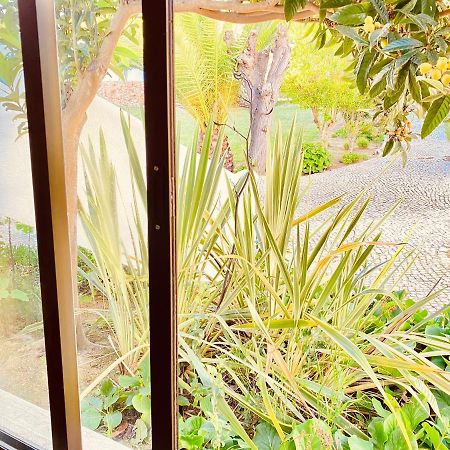 Albufeira Praia Sao Rafael Sun Apartment Dış mekan fotoğraf